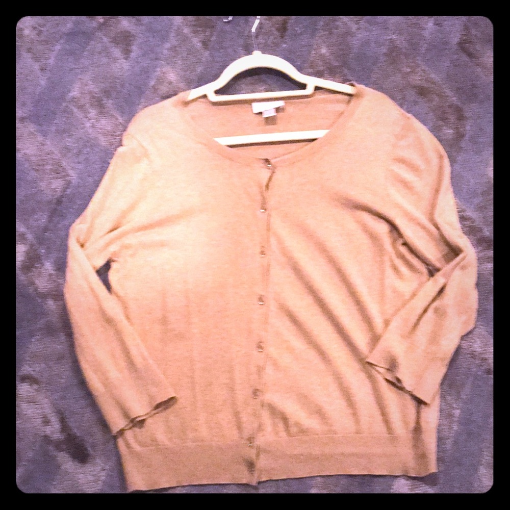 Cardigan